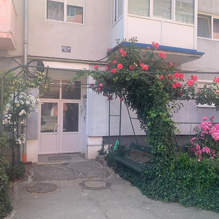 Cazare Medias, Apartament Modern Esterno foto